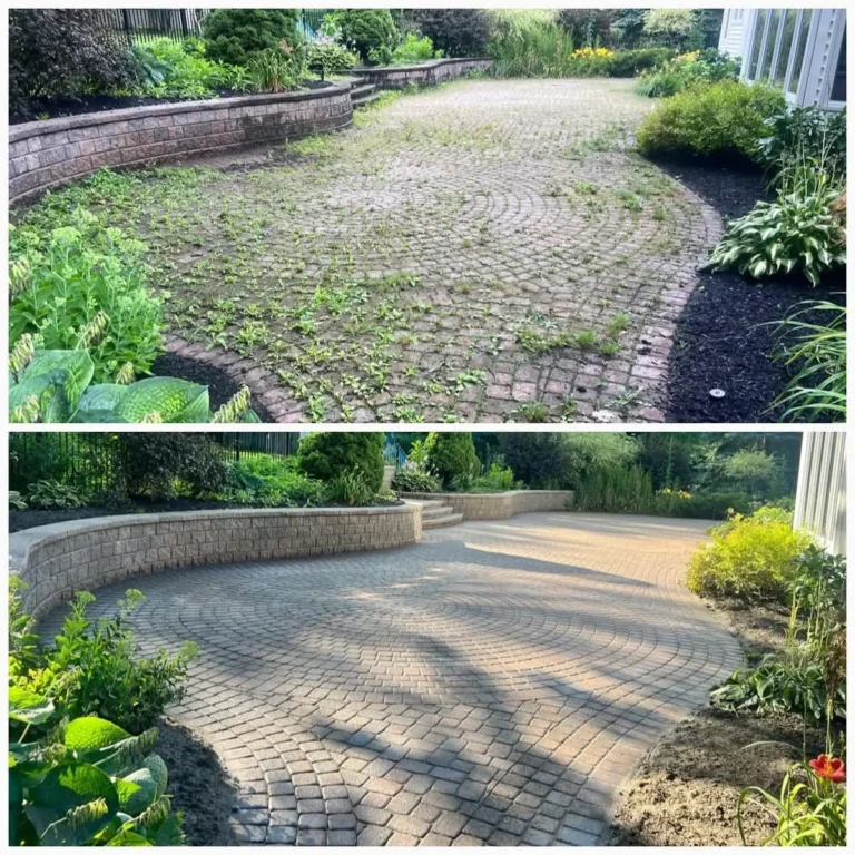 Overgrown Patio Pavers Restored by GrimeBusters Soft Wash and Holiday Lighting.