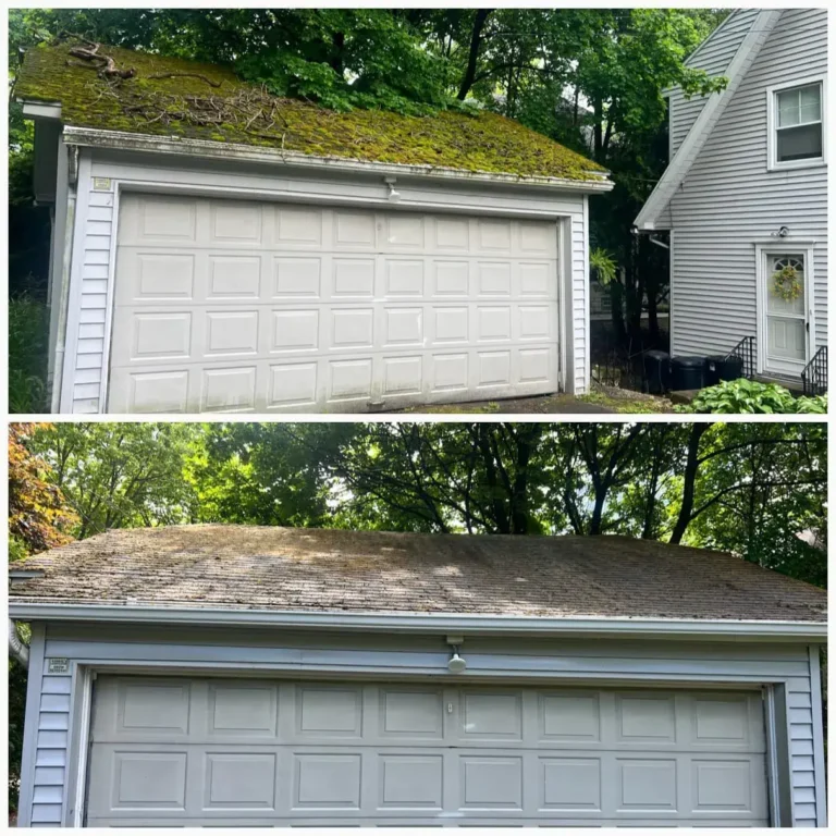 A Neglected, Overgrown Roof is Shown Above the Same Roof, Perfectly Clean, Soft Washed, and Restored in Millcreek Township.